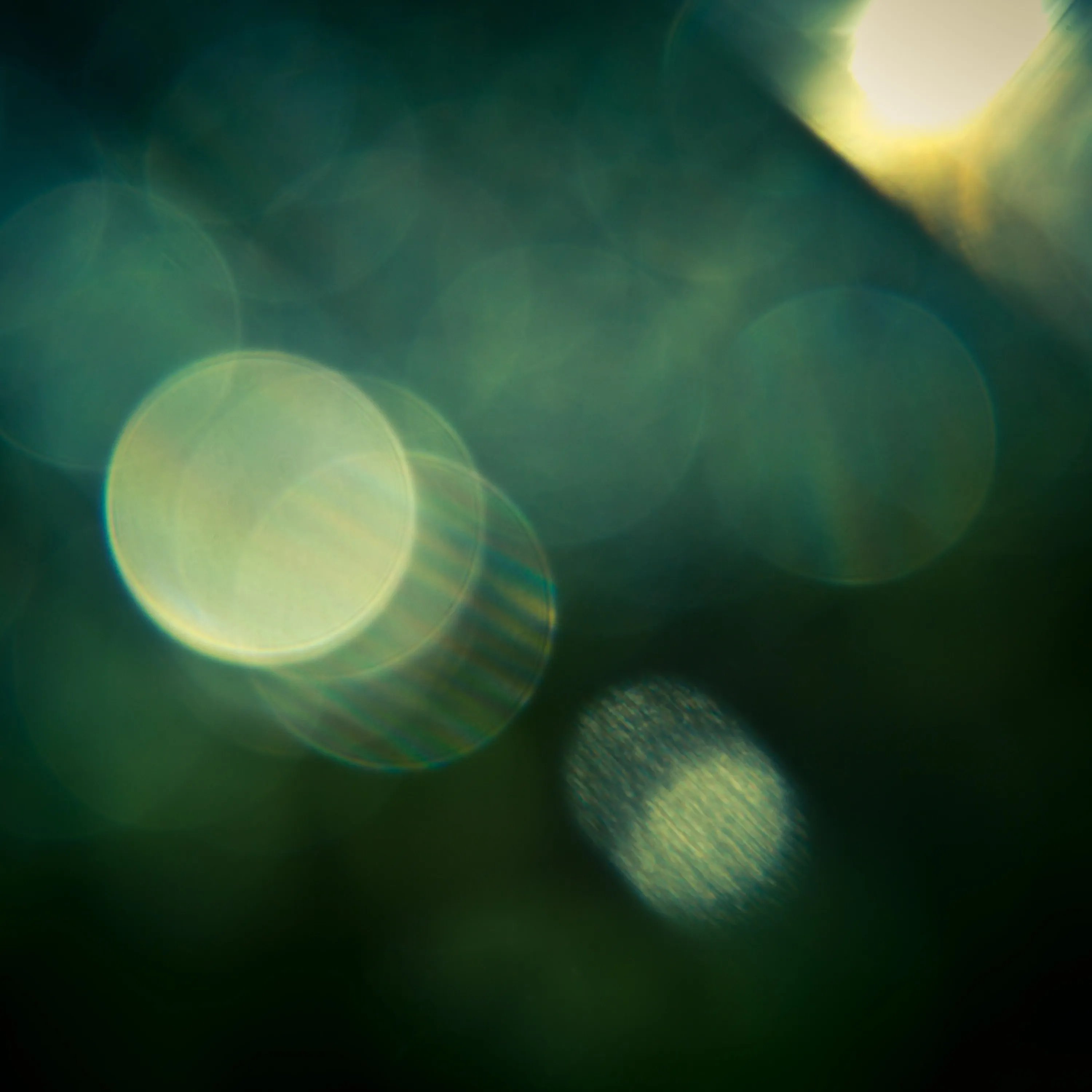 Bokeh lights ambient mood